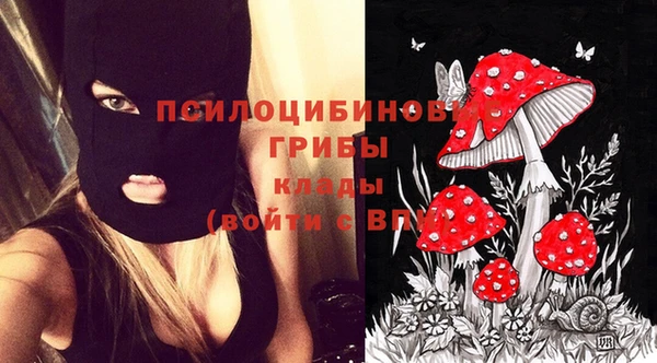 ГАЛЛЮЦИНОГЕННЫЕ ГРИБЫ Белокуриха