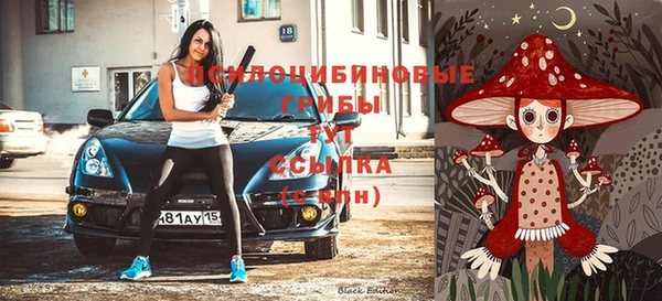 ГАЛЛЮЦИНОГЕННЫЕ ГРИБЫ Белокуриха