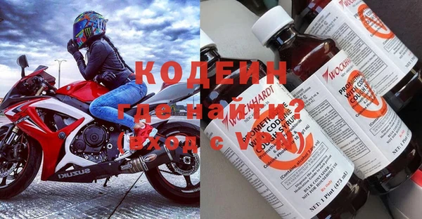 ГАЛЛЮЦИНОГЕННЫЕ ГРИБЫ Белокуриха
