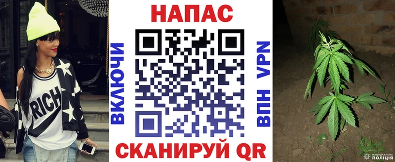Бошки Шишки семена  где купить наркоту  Выкса 